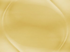 为什么你的特性标记总做不好